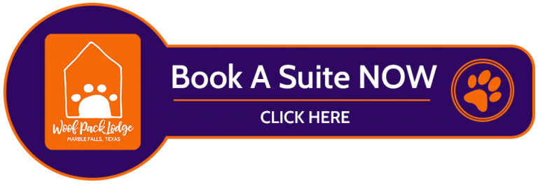 book a suite now