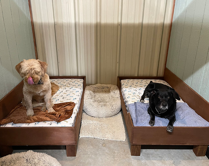 dog suite woof pack lodge dog kennel Marble Falls
