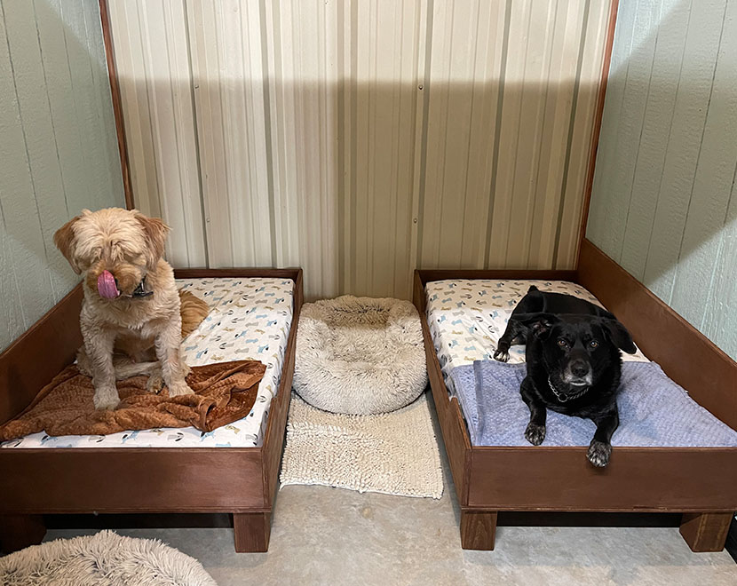 Dog Boarding Kennel Marble Falls Woof Pack Lodge