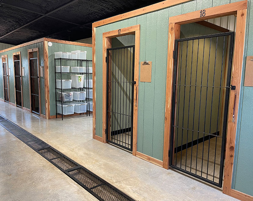 large suites Dog Boarding Kennel - Marble Falls - Woof Pack Lodge