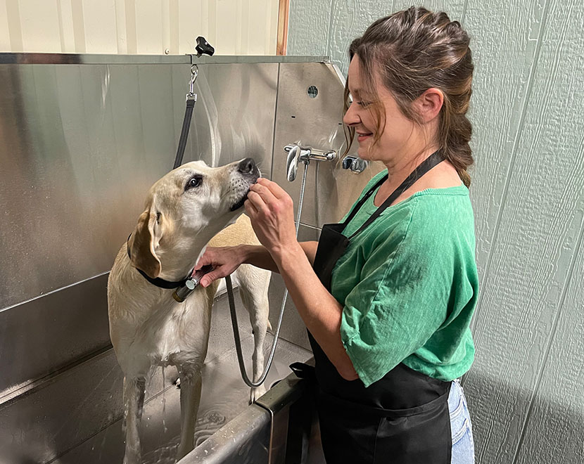 washing dog woof pack lodge dog kennel Marble Falls